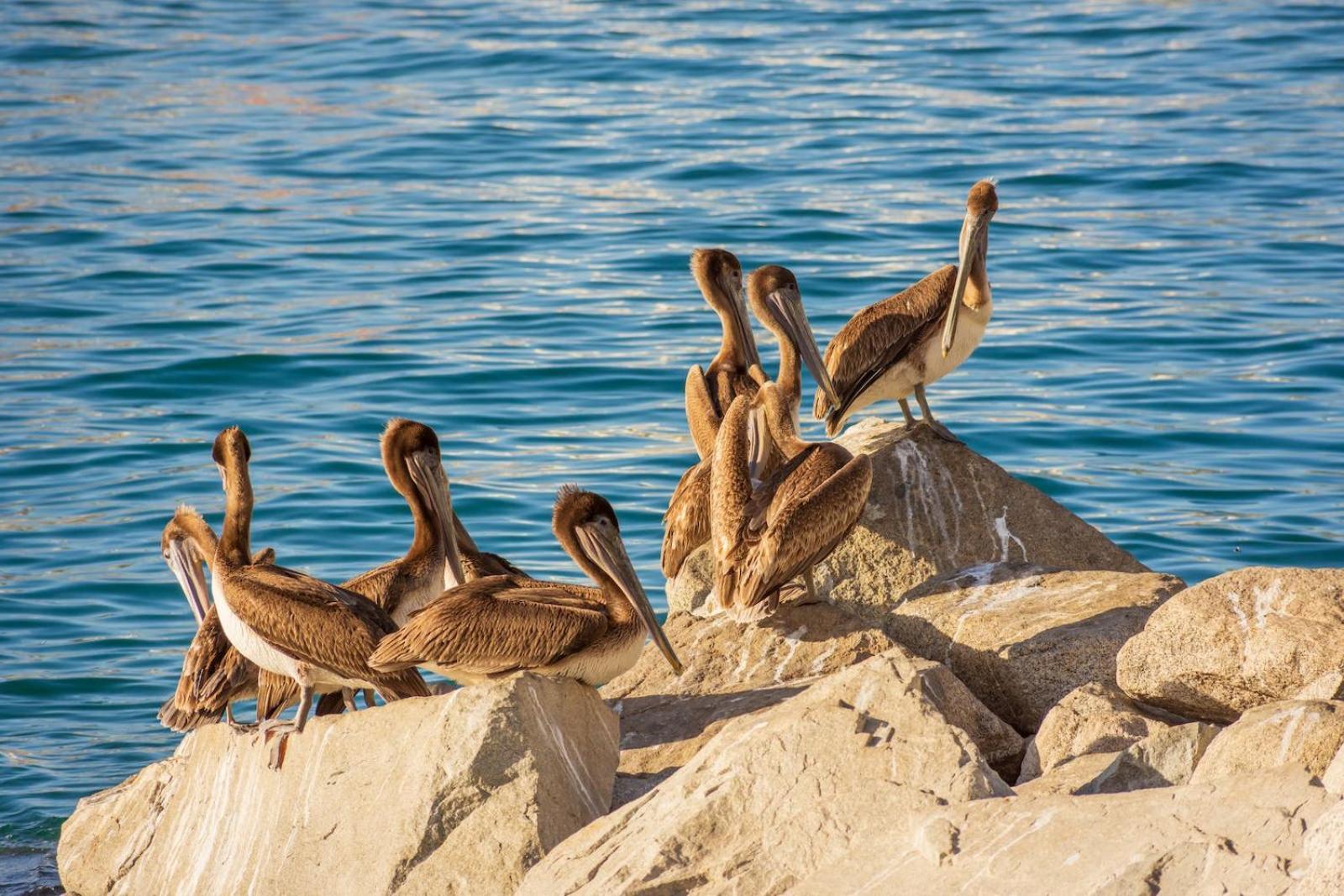 Morro Bay Beach Inn Экстерьер фото