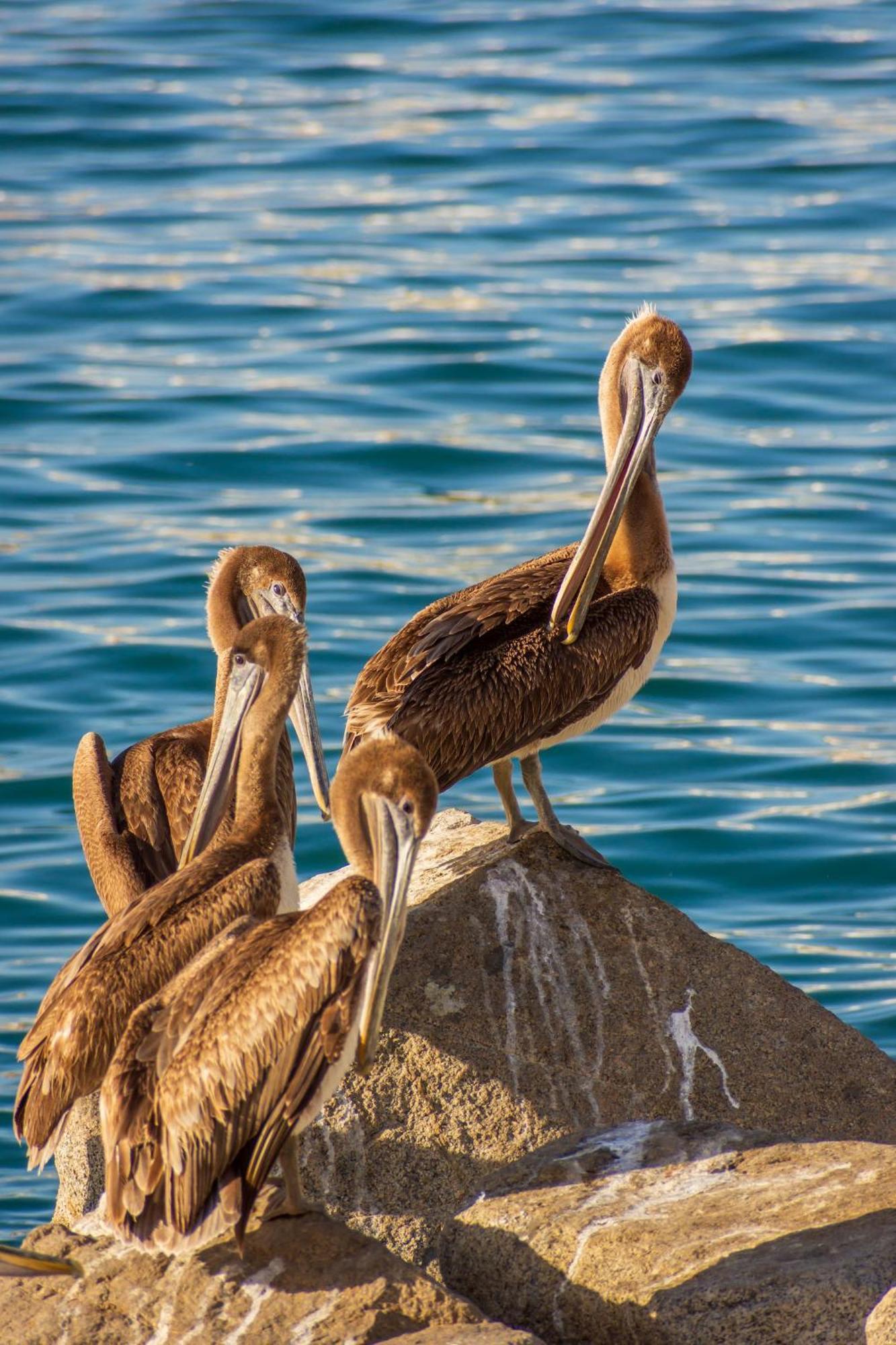 Morro Bay Beach Inn Экстерьер фото